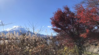 Fujisan 富士山一天團 (河口湖 / 羅森店 / 忍野八海 / 新倉山淺間公園)