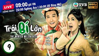 Phim TVB Trái Bí Lớn (The Winter Melon Tale) 9/20 | Trần Cẩm Hồng, Tô Ngọc Hoa | 2009