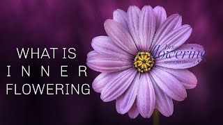 What is Inner Flowering 🪷 | Riaz Mulla