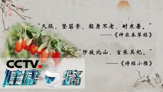 《健康之路》 这些年用错的补药（五）你适合吃枸杞吗？20200509 | CCTV科教