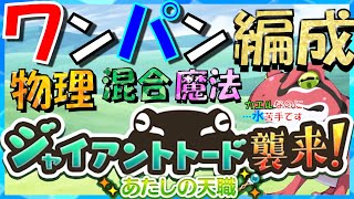 【#このファン】 イベント ワンパン ３編成  魔法 物理 混合編成 ジャイアントトード襲来 あたしの天職編 【このすば】