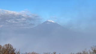 しっかり冠雪した富士山が見えた金時山（2024年11月19日）