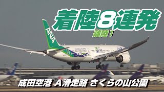 【4K】成田空港 さくらの山公園 空港に着陸する飛行機８連発(離陸1)