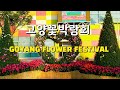 [일산호수공원] #고양꽃박람회 화훼농가돕기 캠페인 행사 플라워마켓. GOYANG FLOWER FESTIVAL