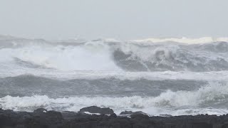 제주 육상 강풍주의보ㆍ해상 풍랑경보…여객선 운항 통제 / 연합뉴스TV (YonhapnewsTV)