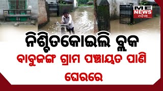 ME News Odisha | Nischintakoili | Babujang ଗ୍ରାମ ପଞ୍ଚାୟତ ପାଣି ଘେରରେ | #MENewsOdisha | CUTTACK-SADAR