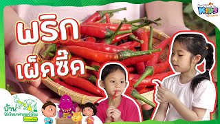 พริกเผ็ดซี๊ด : บ้านนักวิทยาศาสตร์น้อย