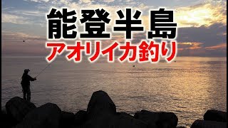 【アオリイカ釣り】エギング,能登半島内浦！９月下旬の釣果！！