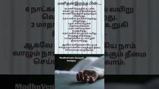 மனிதன் இறந்த பின்.../ வாழ்க்கை இறுதி....