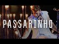 Lucas Lucco - Passarinho (DVD O Destino - Ao vivo)