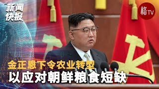 金正恩下令农业转型以应对朝鲜粮食短缺