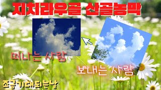 변화무쌍한 구름의 변신 * 지치라우골농막 하늘에 신성한 구름이 나타난다 사람의 형체를 한 구름 #미확인 비행체 #UFO