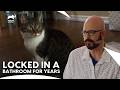 This Locked Away Cat Ruined An Entire House | My Cat From Hell S9 E12 | Animal Planet India