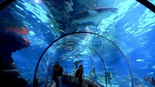 Aquarium Barcelona