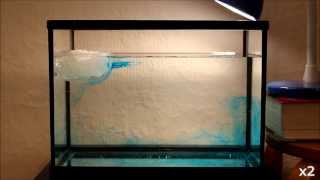 Simulation circulation thermohaline
