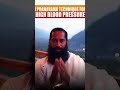 1 Pranayama Technique for High Blood Pressure | Himalayan Siddha Akshar #shorts