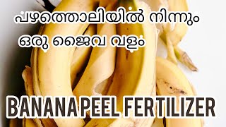 banana peel fertilizer in malayalam || പഴത്തൊലിയിൽ നിന്നും ഒരു ജൈവവളം