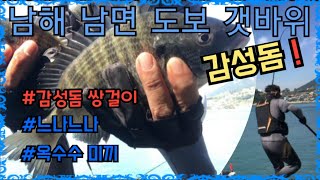 [신컨TV]남해 남면 도보 감성돔낚시! 감성돔 쌍걸이 실화?? 느나느나!!