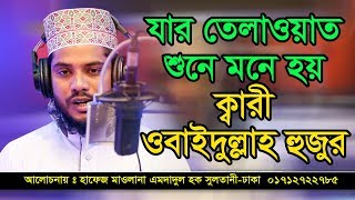 Qari Emdadul Hok Soltani ক্বারী এমদাদুল হক সুলতানী