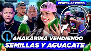 LUINNY PONE PRUEBA A ANAKARINA VENDER AGUACATES EN CALLES DE SANTO DOMINGO ¿CUÁNTOS VENDIÓ?