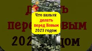 Что нельзя делать перед Новым 2023 годом, чтобы привлечь достаток и удачу