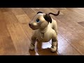 とってもかわいいaibo〜クリスマス〜