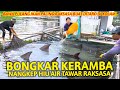 BONGKAR KERAMBA! NANGKEP HIU AIR TAWAR RAKSASA BUAT DIRUMAH!