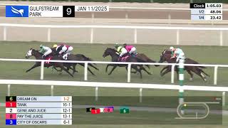 Gulfstream Park Carrera 9 - 11 de Enero 2025