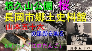 悠久山公園の桜と 長岡市郷土史料館で　山本五十六　の足跡を辿る　長岡グルメ　江口だんご   Isoroku   YAMAMOTO