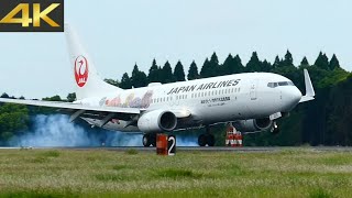 【鹿児島空港】撮影日和のKagoshima Airport【離着陸】【4K60P】#鹿児島空港 #離着陸