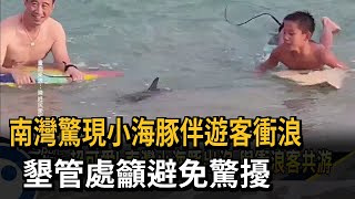 墾丁驚見海豚與人共游 墾管處籲避免驚擾－民視新聞