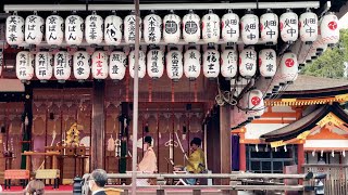 京都観光気分｜Vol 39 八坂神社、円山公園をお散歩 Yasaka Shrine, Maruyama Park 2021 結婚式 前撮り【 kyoto japan walk vlog ASMR 】