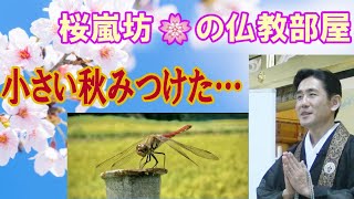 「桜嵐坊🌸の仏教部屋」小さい秋見つけた…。