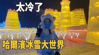 冰雪大世界門票298塊，都說去了會後悔，今天帶大家一起去體驗【阿偉燕子旅行記】