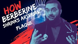 HOW BERBERINE SHRINKS ATHEROSCLEROTIC PLAQUE AND PROTECT AGAINST CARDIAC ISCHEMIA AND HEART ATTACK?