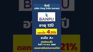 หุ้นกู้บริษัท บ้านปู จำกัด (มหาชน) ดอกเบี้ย 4.25% อายุ 12ปี หุ้นกู้A+ | เปิดให้ประชาชนทั่วไปจองซื้อ