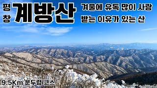 겨울에 유독 많이 사랑 받는 이유가 있는 산/계방산 등산코스 소개/계방산 운두령 코스