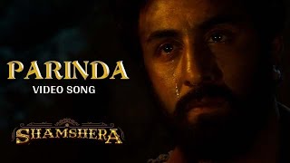Parinda Shamshera Video Song l Ranbir Kapoor, Sanjay Dutt, Vaani | Kirpal Singh Nagi