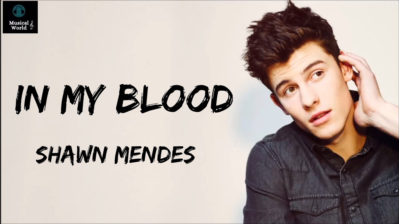 In My Blood Lyrics Shawn Mendes Youtube Music