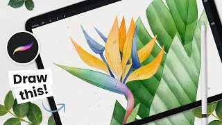 How To Draw: Watercolor Strelitzia (Bird of Paradise) • Procreate Tutorial