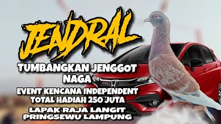 Jendral tumbangkan jenggot naga!!! di lomba merpati new honda jazz total hadiah 250 juta Lampung