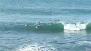 Surfing Dee Why Point and Winki Pop