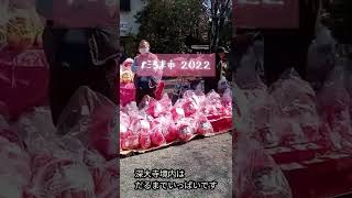 調布深大寺だるま市 2022年