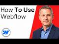 How To Use Webflow (Quick Guide)