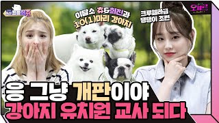 (ENG) 🐶이것만 알면 개통령 될 수 있음🐶 일일 댕댕이 유치원 교사가 된 츄\u0026희진 | 오떼르: 미션컴플희츄 [Ep. 1]