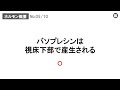 【スピード確認テストⅣ・73】ホルモン概要【聞き流し】