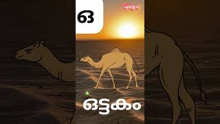 ഒ- ഒട്ടകം- CAMEL | LEARN MALAYALAM ALPHABETS | സ്വരക്ഷരങ്ങൾ #malayalamlearning #kidslearning