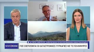 Πώς σχετίζονται οι καταστροφικές πυρκαγιές με τις πλημμύρες | 10/9/23 | ΕΡΤ