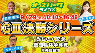 青森競輪【GIIIみちのく記念善知鳥杯争奪戦|決勝】どりあんず平井/有坂直樹/佐野なぎさ 2024/9/29(日) オッズパークライブ