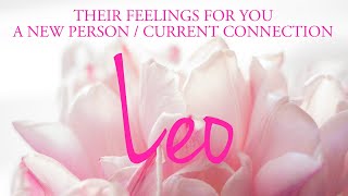 LEO Love Tarot: A Love Confession Awaits You, They Mean Business